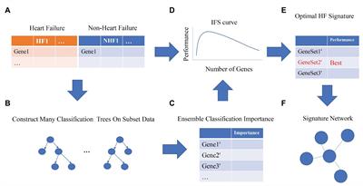 Multiple Feature Selection Strategies Identified Novel Cardiac <mark class="highlighted">Gene Expression Signature</mark> for Heart Failure